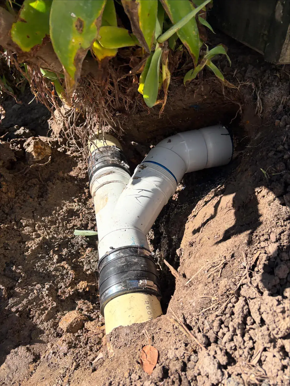 Repaired sewer pipe junction with new PVC fittings and rubber couplings in an excavated garden bed